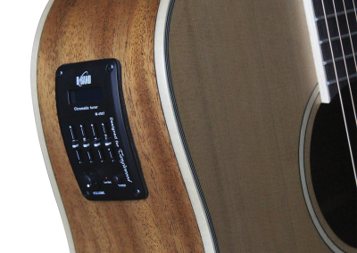 Tanglewood TW10 Winterleaf Dreadnought C/E Acoustic